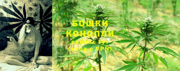 ПСИЛОЦИБИНОВЫЕ ГРИБЫ Белокуриха