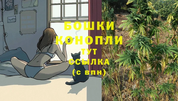 ПСИЛОЦИБИНОВЫЕ ГРИБЫ Белокуриха