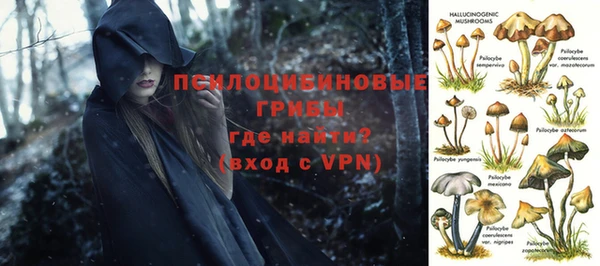 ПСИЛОЦИБИНОВЫЕ ГРИБЫ Белокуриха